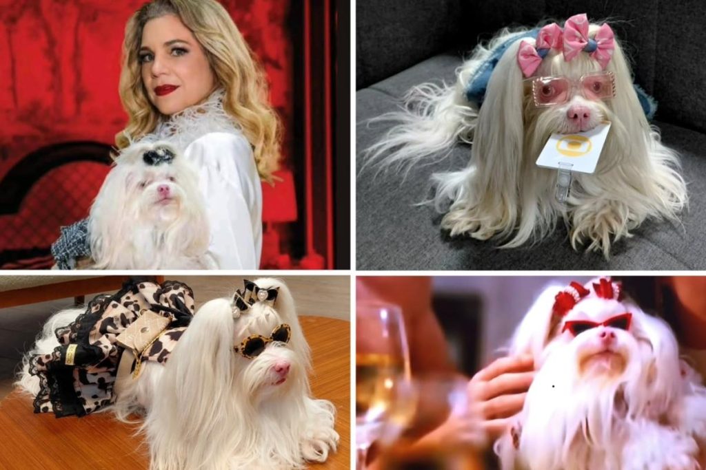A fofura de Meg, a cadelinha Maria Antonieta de ‘Quem Ama Cuida’