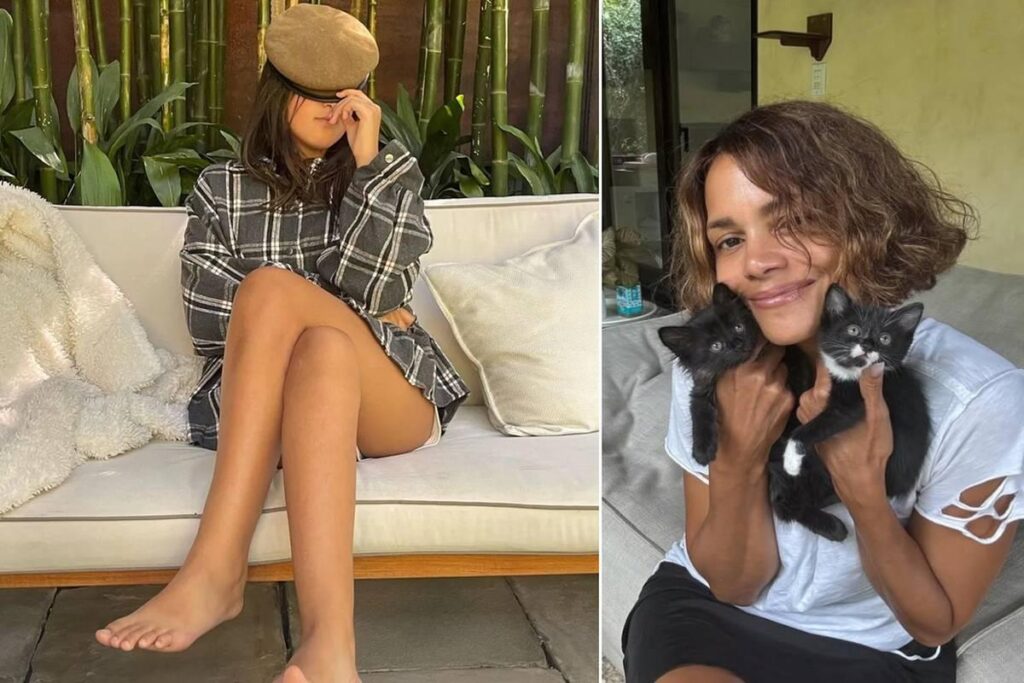 Nahla Aubry fala sobre Halle Berry e defesa em polêmica judicial